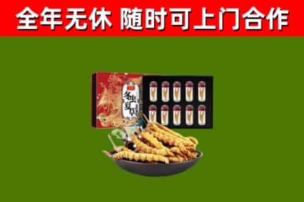 垫江县回收冬虫夏草价格